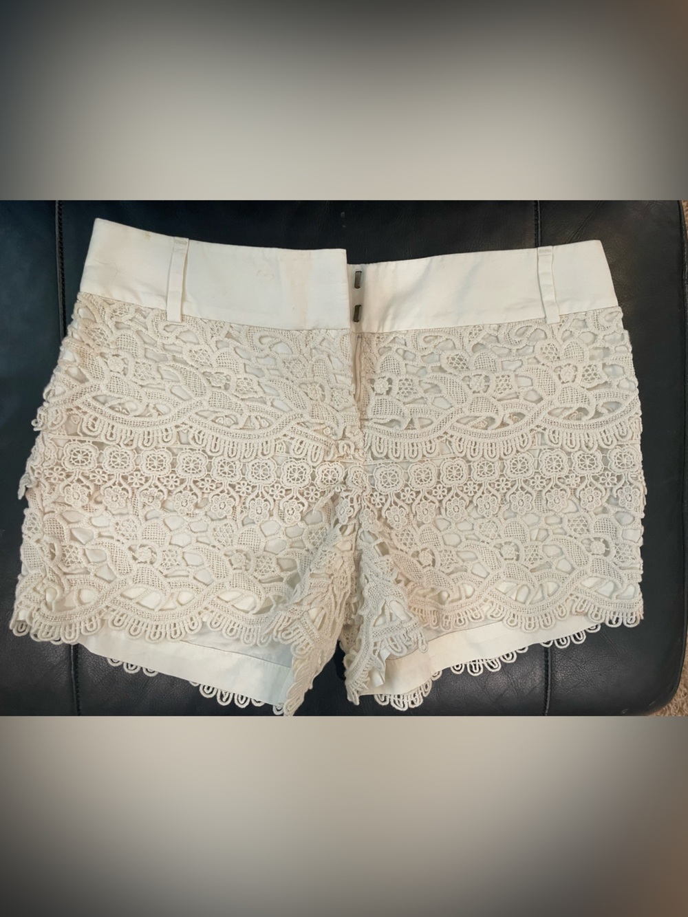 Loft lace shorts